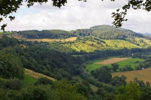 Read more about the article Zum faktischen Vogelschutzgebiet Diemel- und Hoppecketal mit Wäldern bei Brilon und Marsberg: