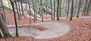Read more about the article Mountainbike-Trails zerstören<br>Sauerländer Natur