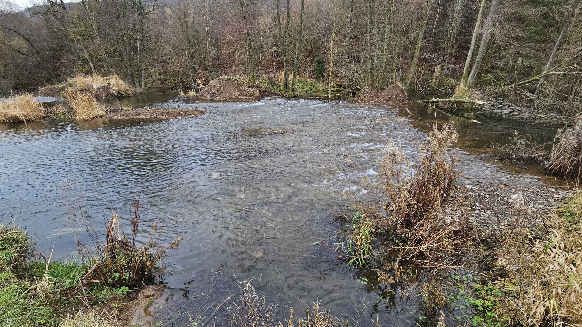 Mehr über den Artikel erfahren VNV unterstützt Diemelrenaturierung